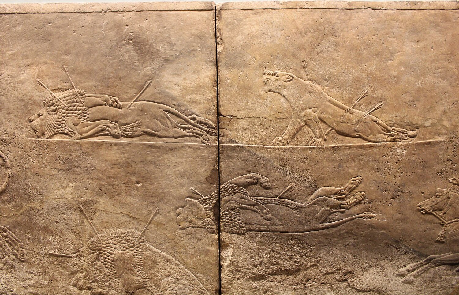 The dying lioness from the Lion Hunt of Ashurbanipal