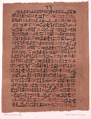 Ebers Papyrus showing hieratic script