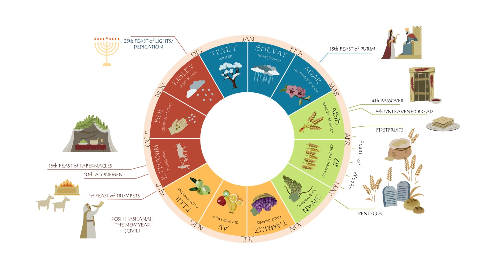Biblical Calendar showing the Hebrew months, agricultural seasons, and feast days