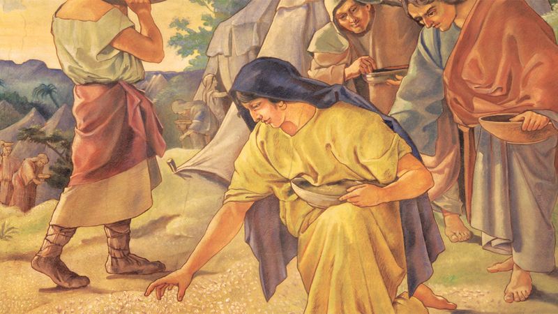 The parting of the Red Sea